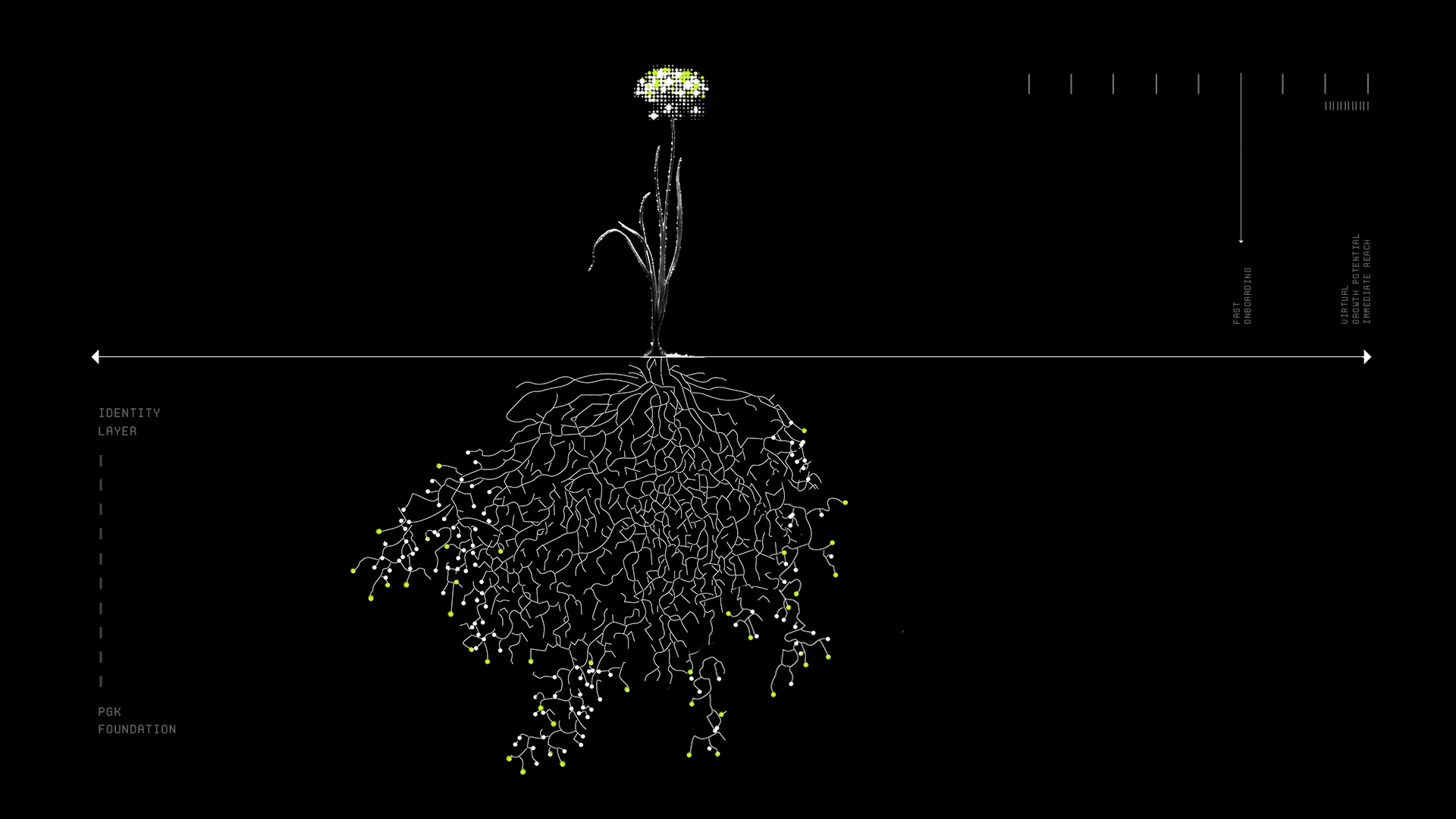 Competition Background 2